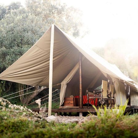 Quatermain'S 1920'S Safari Camp - アマカーラ・ゲーム・リザーブ エクステリア 写真