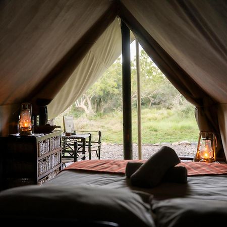 Quatermain'S 1920'S Safari Camp - アマカーラ・ゲーム・リザーブ エクステリア 写真
