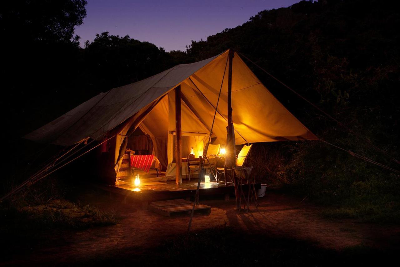 Quatermain'S 1920'S Safari Camp - アマカーラ・ゲーム・リザーブ エクステリア 写真