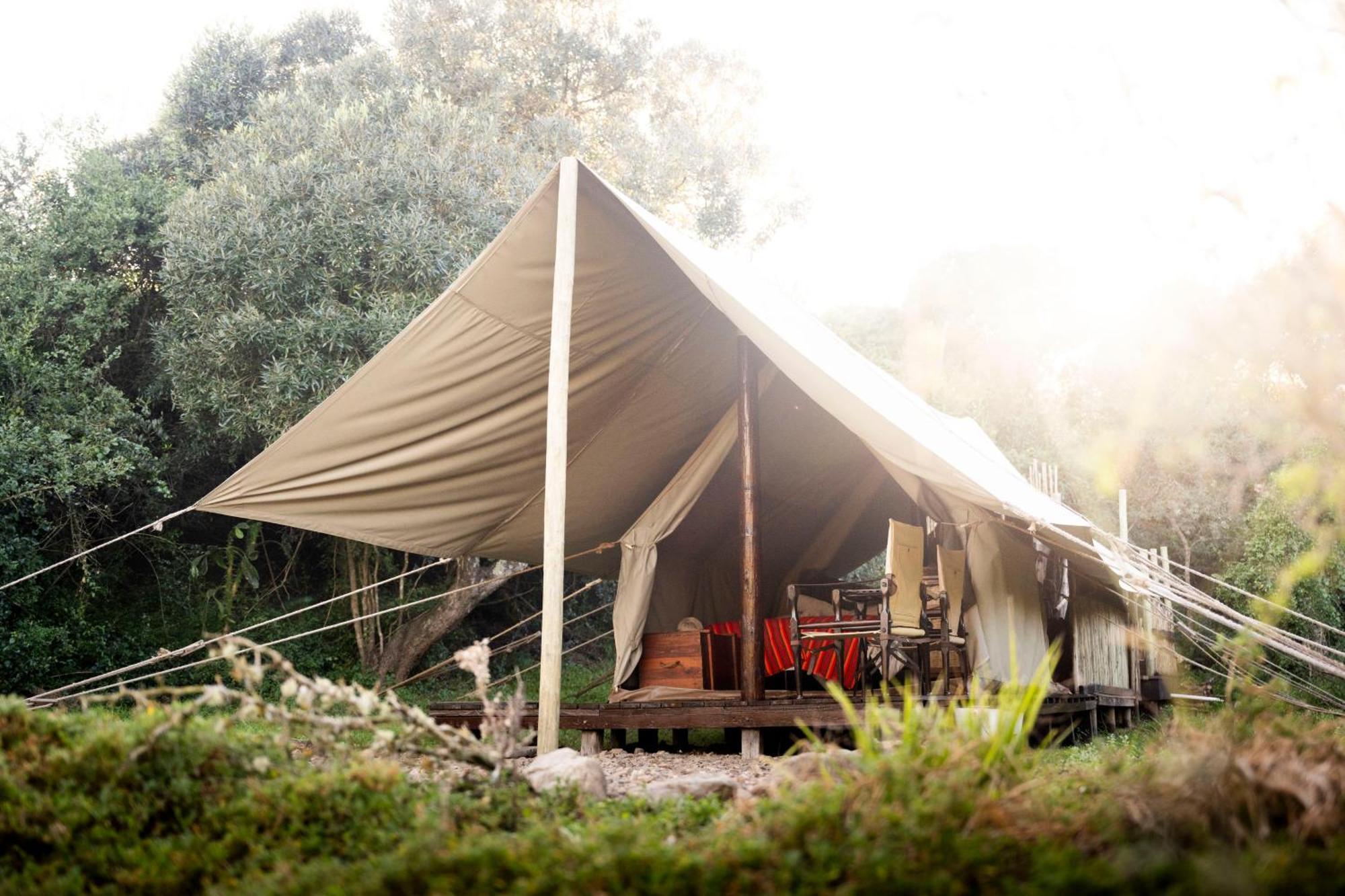 Quatermain'S 1920'S Safari Camp - アマカーラ・ゲーム・リザーブ エクステリア 写真