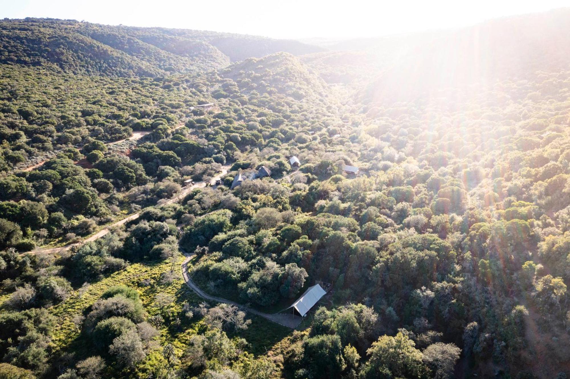 Quatermain'S 1920'S Safari Camp - アマカーラ・ゲーム・リザーブ エクステリア 写真