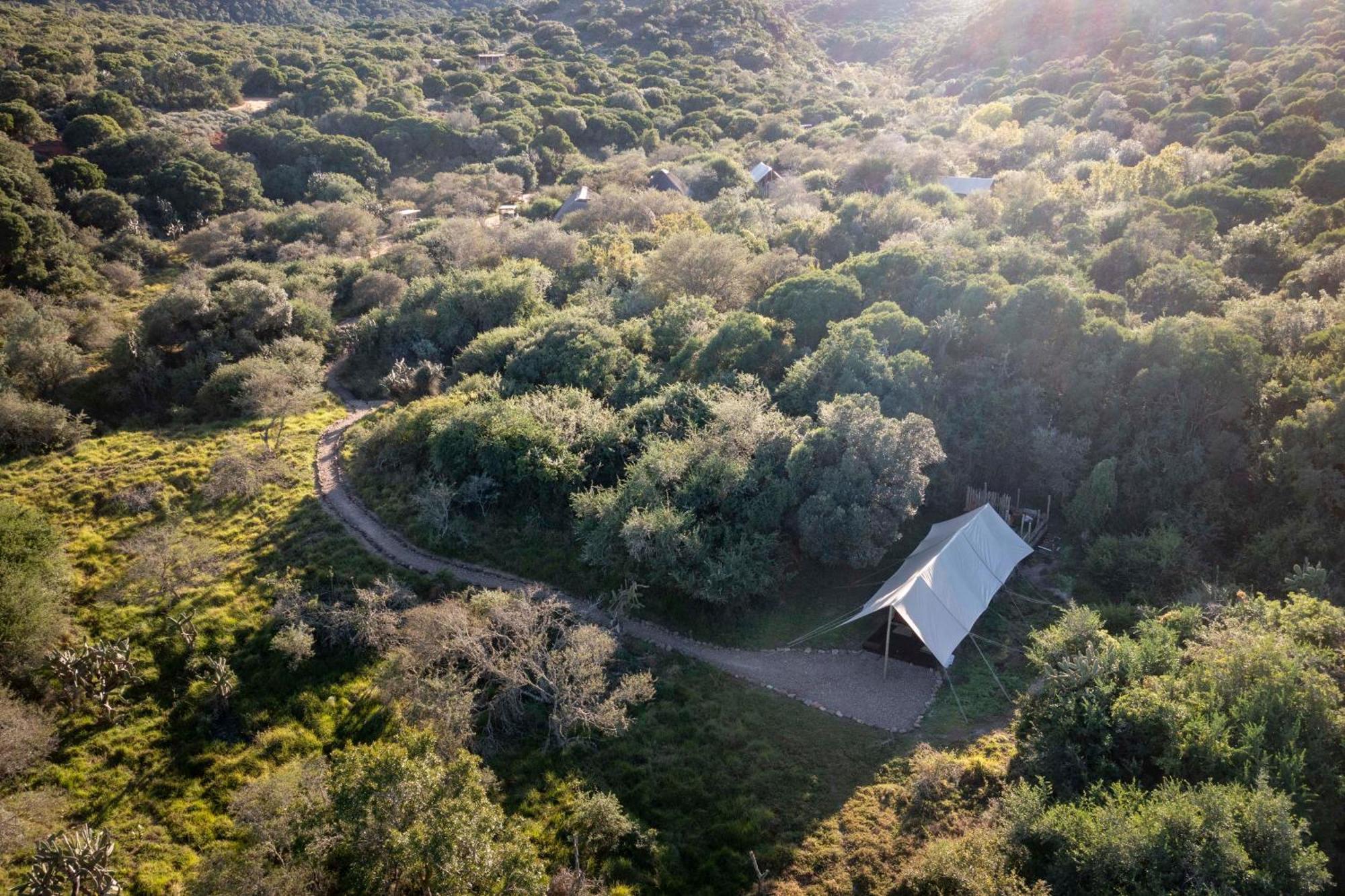 Quatermain'S 1920'S Safari Camp - アマカーラ・ゲーム・リザーブ エクステリア 写真
