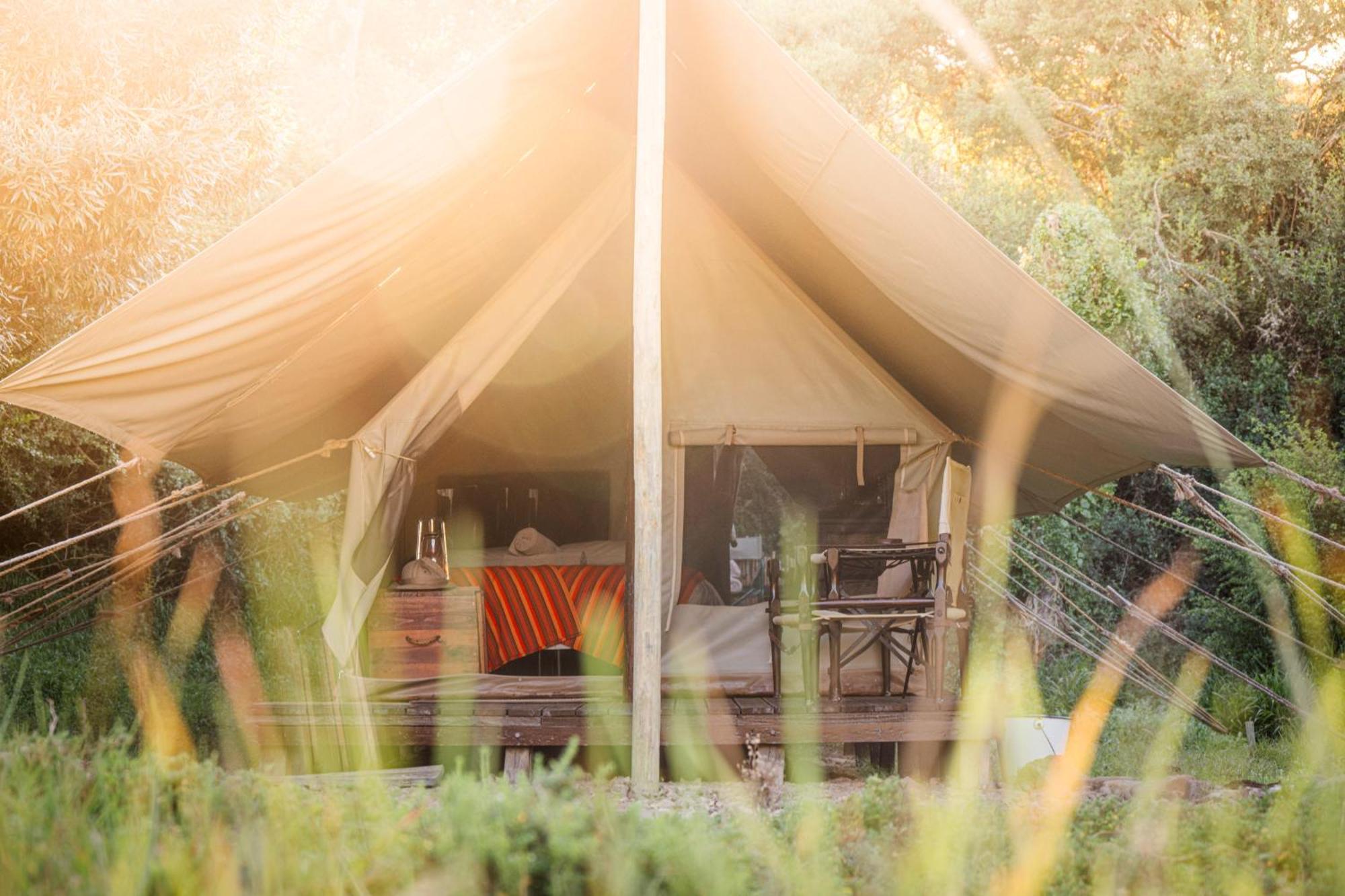 Quatermain'S 1920'S Safari Camp - アマカーラ・ゲーム・リザーブ エクステリア 写真