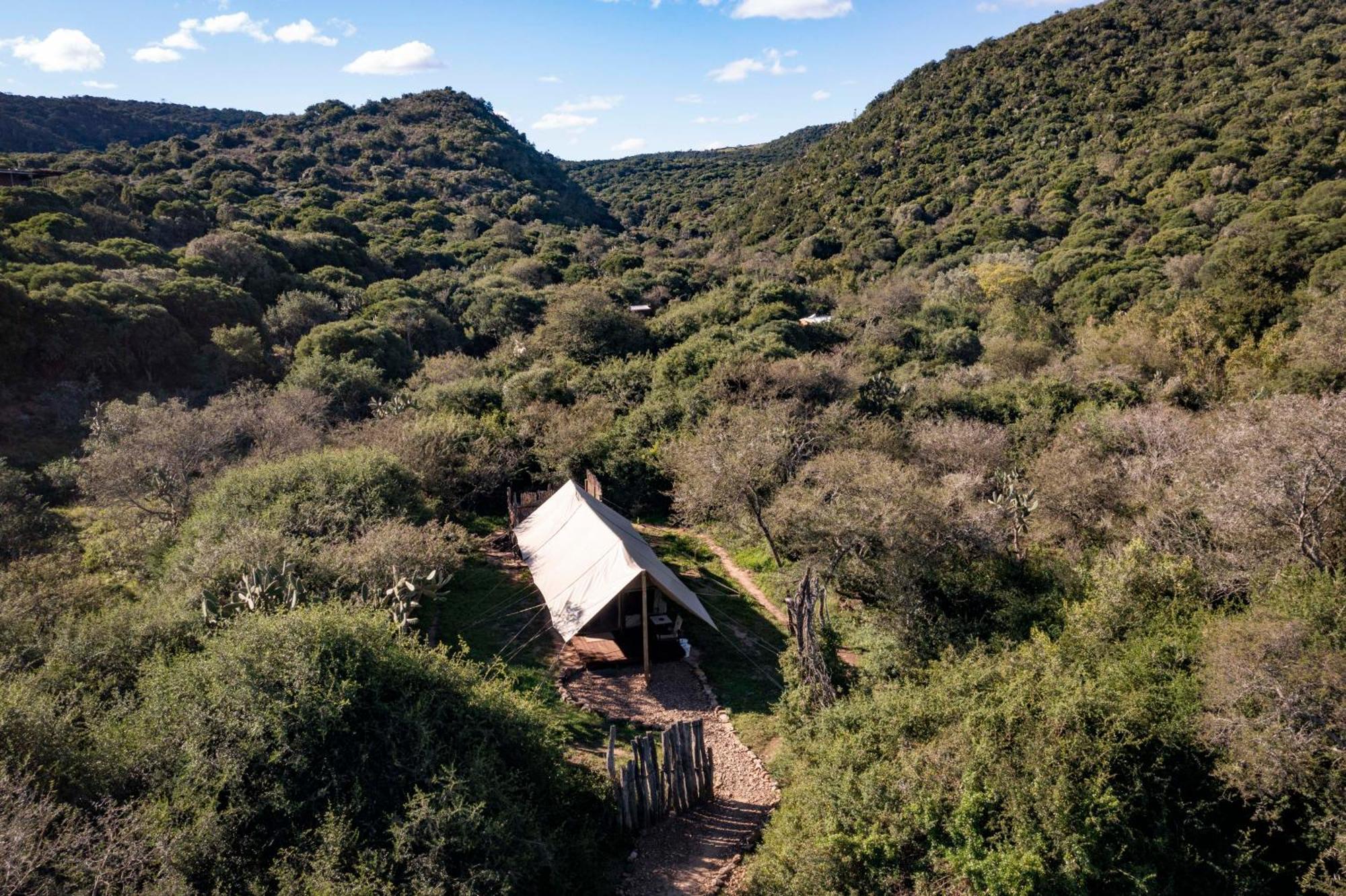 Quatermain'S 1920'S Safari Camp - アマカーラ・ゲーム・リザーブ エクステリア 写真